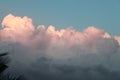 Tropical Sunset background with pink fluffy clouds and palm trees in the corner Royalty Free Stock Photo