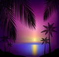 Tropical sunset beach