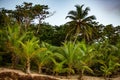 Tropical sunset at the beach with palms Royalty Free Stock Photo