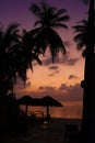 Tropical sunset at the beach with palms Royalty Free Stock Photo