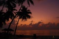 Tropical sunset at the beach with palms Royalty Free Stock Photo