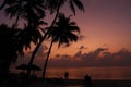 Tropical sunset at the beach with palms Royalty Free Stock Photo