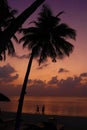 Tropical sunset at the beach with palms Royalty Free Stock Photo