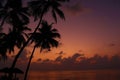 Tropical sunset at the beach with palms Royalty Free Stock Photo