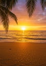 Tropical Sunset Beach Scene with Palm Trees Royalty Free Stock Photo