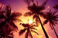 Tropical sunset beach vivid sky and palm trees Royalty Free Stock Photo