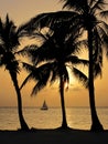 Tropical sunset on cayman islands Royalty Free Stock Photo