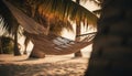 Tropical sunset, hammock sways, tranquil scene, beauty in nature generated by AI Royalty Free Stock Photo