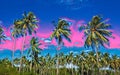 Tropical sunset landscape with palm trees. Exotic island digital painting