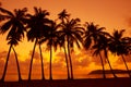 Tropical sunset on ocean shore with palm trees silhouette Royalty Free Stock Photo