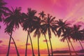 Tropical sunset over sea with palm trees Royalty Free Stock Photo