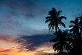 Tropical Sunset Palm Silhouette Landscape. Sri Lanka Beach Royalty Free Stock Photo