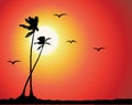 Tropical sunset, palm tree silhouette Royalty Free Stock Photo