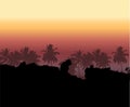 Tropical sunset, palm tree silhouette Royalty Free Stock Photo