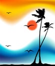 Tropical sunset, palm tree silhouette