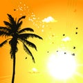 Tropical sunset, palm trees Royalty Free Stock Photo