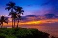 Tropical sunset Royalty Free Stock Photo