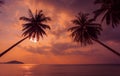 Tropical sunset. Palm trees on the background of the Pacific Ocean. Thailand.