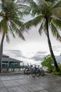 Tropical sunset with palm trees and bicycle on the beach, vertical panorama Royalty Free Stock Photo