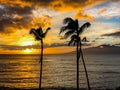 Tropical Sunset Palm Trees Hawaii Maui Royalty Free Stock Photo