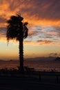 Tropical sunset with palm trees and sea. Silhouettes of palm trees on the beach against the sky with clouds. Royalty Free Stock Photo