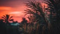 Tropical sunset palm trees silhouette against multi colored sky background generated by AI Royalty Free Stock Photo