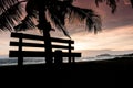 Tropical sunset with palm trees silhouette