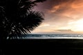 Tropical sunset with palm trees silhouette Royalty Free Stock Photo