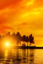 Tropical sunset on remote island. Beach sunset with coconut palm trees reflection Royalty Free Stock Photo