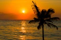 Tropical sunset scene