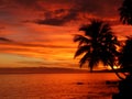 Tropical Sunset