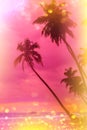 Tropical sunset stylized with retro film light leaks and magical golden glitter Royalty Free Stock Photo