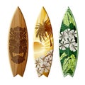 Tropical Surfboard Art Isolated