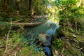 Tropical swamp Royalty Free Stock Photo