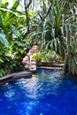 Tropical swimming pool Royalty Free Stock Photo