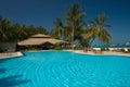 Tropical swimming pool Royalty Free Stock Photo