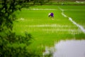 Tropical Tam Coc Vietnam landscape