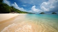 Tropical tapestry, beautifully textured sandy beach, towering trees, and coastal splendor