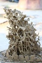 Tropical termite nest in the nature, termite mound in nature Royalty Free Stock Photo