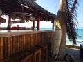 Tropical Tiki Bar on the Beach