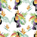 Tropical Toucan bird. Wild exotic animal. Seamless pattern. Vector illustration.