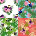 Tropical toucan pattern set, cartoon style