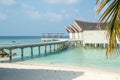 Tropical tranquil amazing beautiful vertical landscape sandy beach near ocean and palm trees at island luxury resort Royalty Free Stock Photo