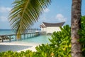 Tropical tranquil beautiful landscape sandy beach near ocean and palm trees at island luxury resort Royalty Free Stock Photo