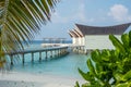 Tropical tranquil landscape sandy beach near ocean and palm trees at island luxury resort Royalty Free Stock Photo