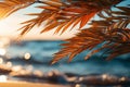 Tropical tranquility Blurred palm, beach bokeh add depth to sandy scene, invoking vacation