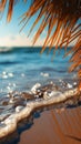 Tropical tranquility Blurred palm, beach bokeh add depth to sandy scene, invoking vacation