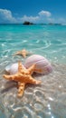 Tropical tranquility Starfishes, seashells on pastel beach, crystal clear waters