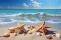 Tropical treasures Seashells and starfish adorn the beautiful sandy beach
