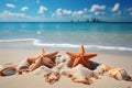 Tropical treasures Seashells and starfish adorn the beautiful sandy beach